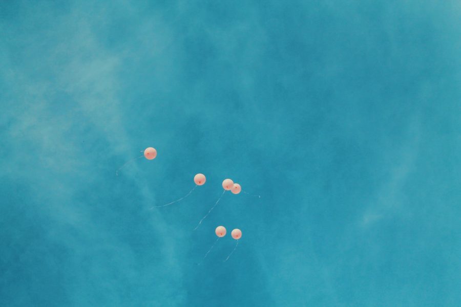 brianna-santellan-wK5lmJ_tDoc-unsplash